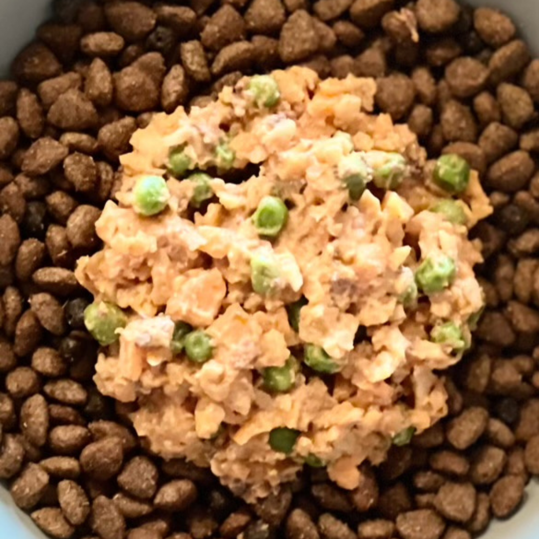 Lacy’s Nutrition Burst