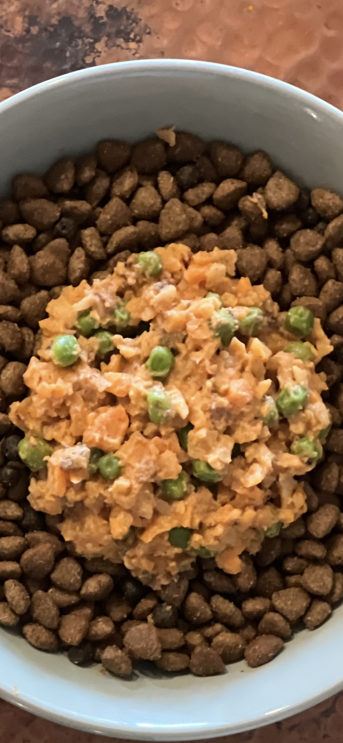 Lacy’s Nutrition Burst